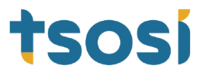 Logo project TSOSI